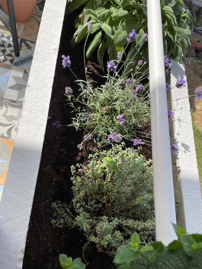 Family Home Koper Dış mekan fotoğraf